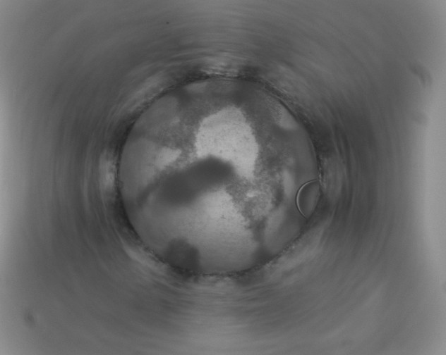 X0000115211154200911121858