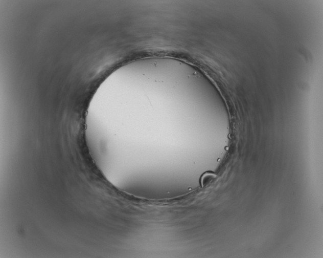 X0000115211157200911121858