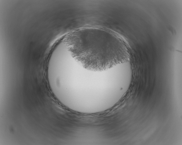 X0000115211160200911121858