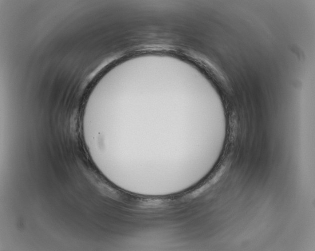 X0000115211162200911121858