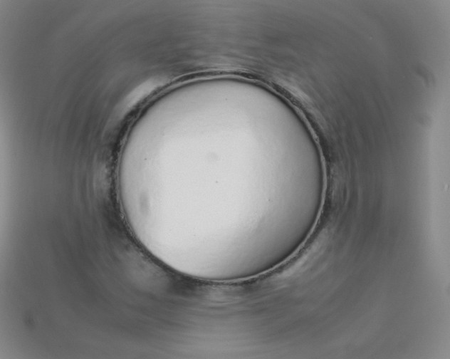 X0000115211163200911121858