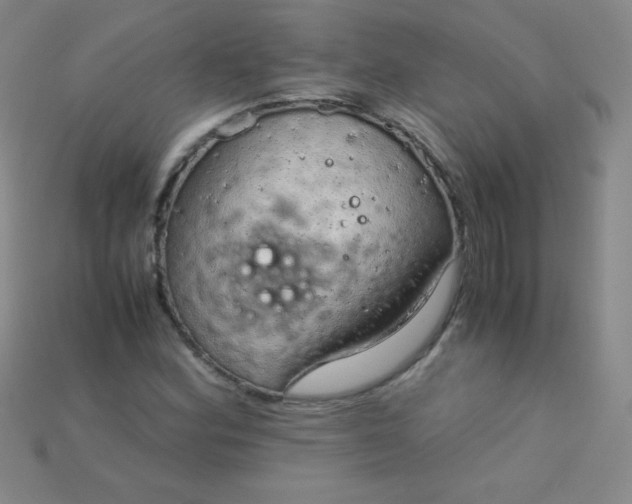 X0000115211164200911121858