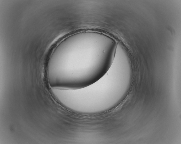 X0000115211165200911121858