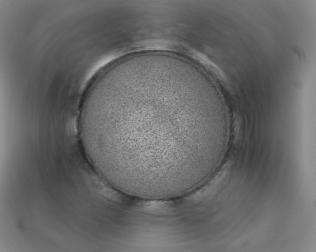 X0000115211166200911121858