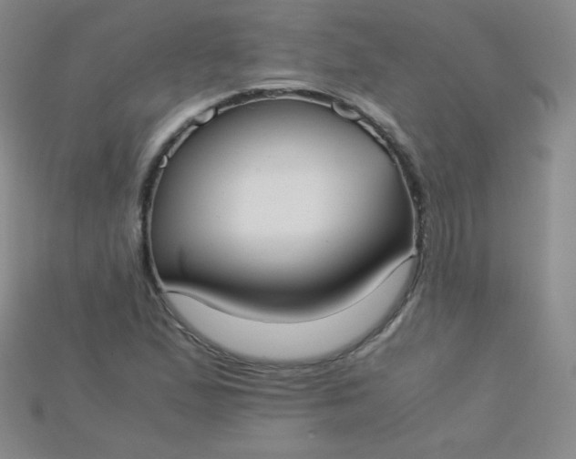 X0000115211167200911121858