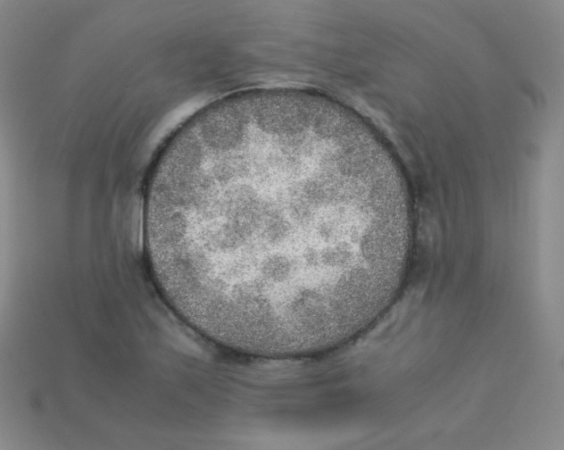 X0000115211171200911121858
