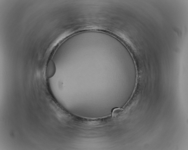 X0000115211173200911121858