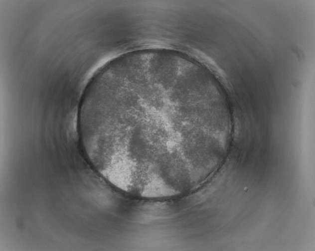 X0000115211174200911121858