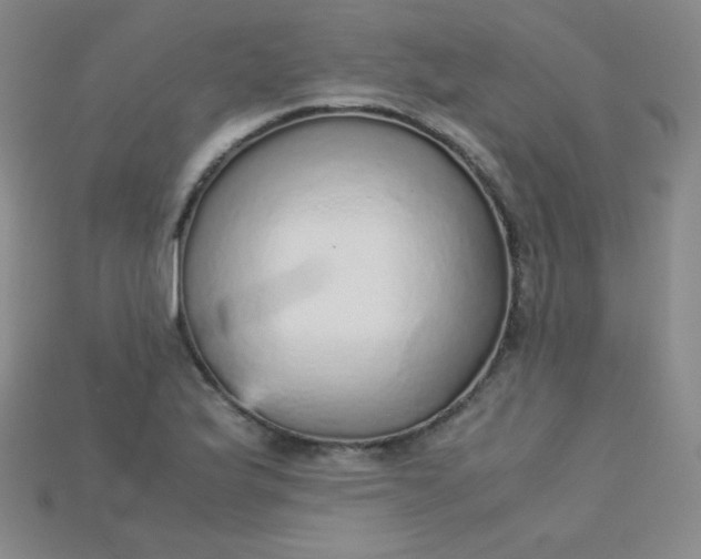 X0000115211175200911121858