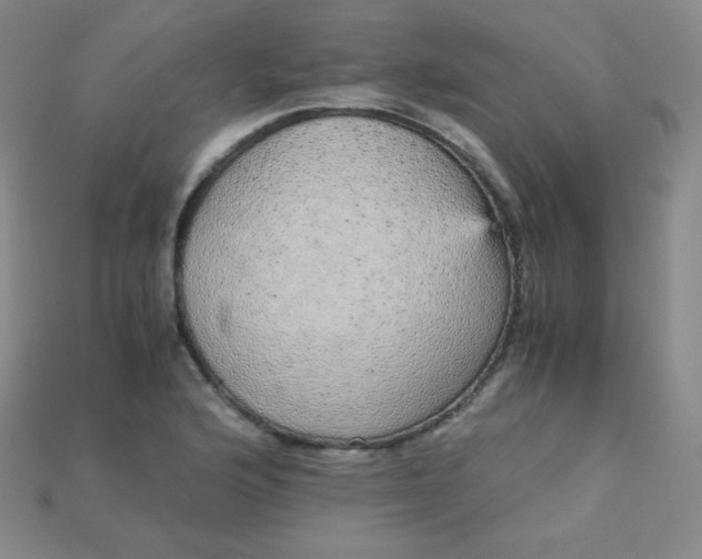 X0000115211176200911121858