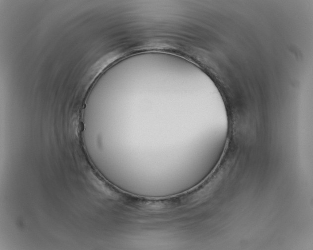 X0000115211177200911121858