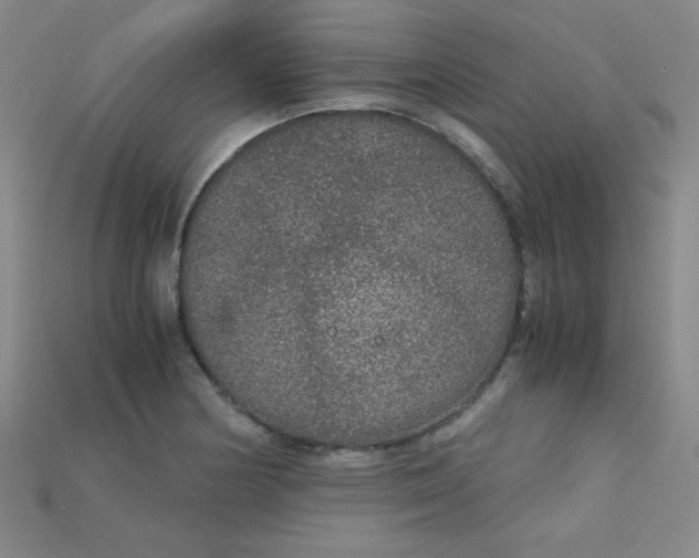 X0000115211178200911121858