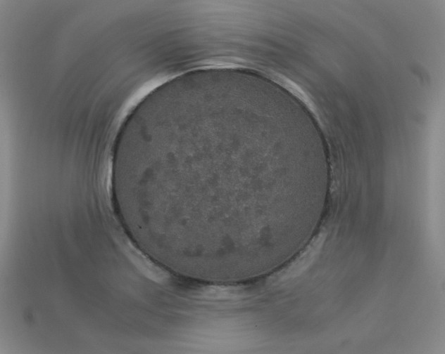 X0000115211179200911121858