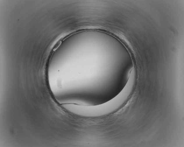 X0000115211181200911121858