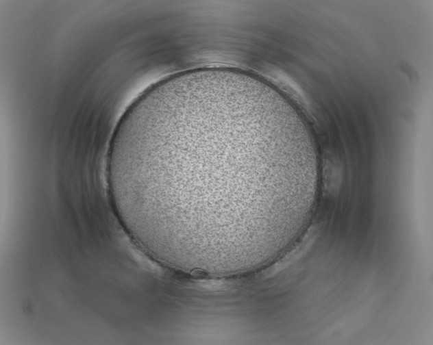 X0000115211182200911121858