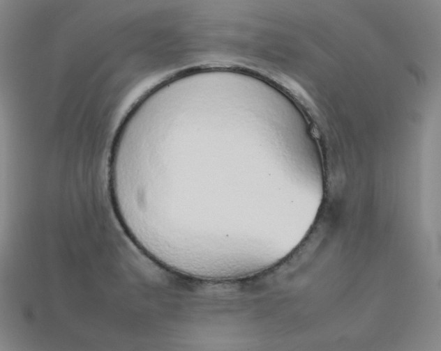 X0000115211183200911121858