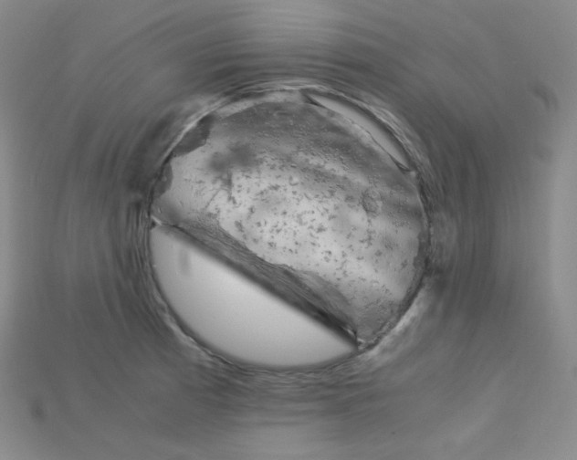 X0000115211185200911121858