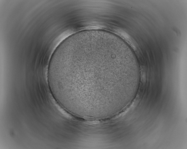 X0000115211186200911121858