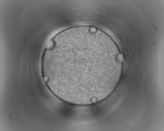 X0000115211187200911121858