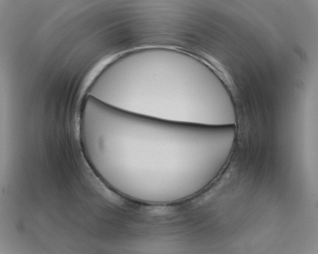 X0000115211188200911121858