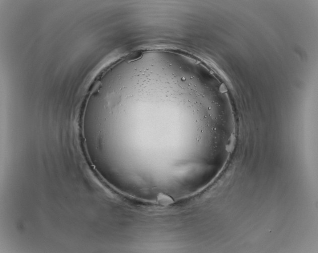 X0000115211189200911121858