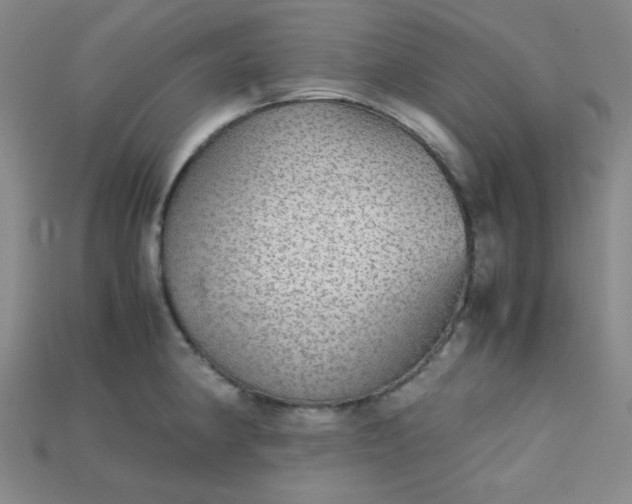 X0000115211190200911121858