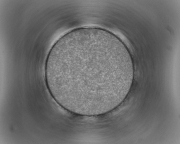 X0000115211191200911121858