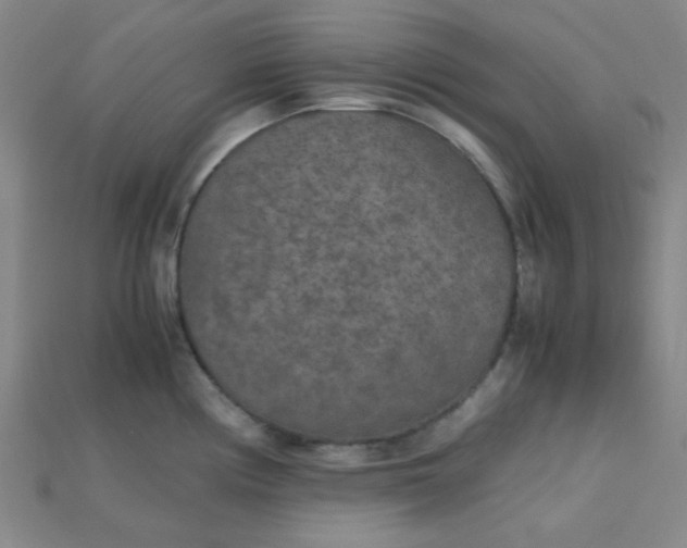 X0000115211194200911121857