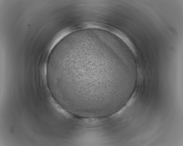 X0000115211198200911121857