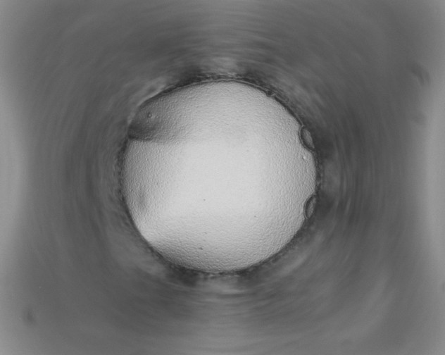 X0000115211201200911121857