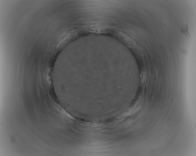 X0000115211202200911121857