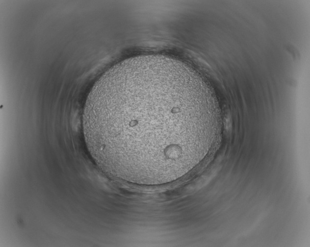 X0000115211204200911121857