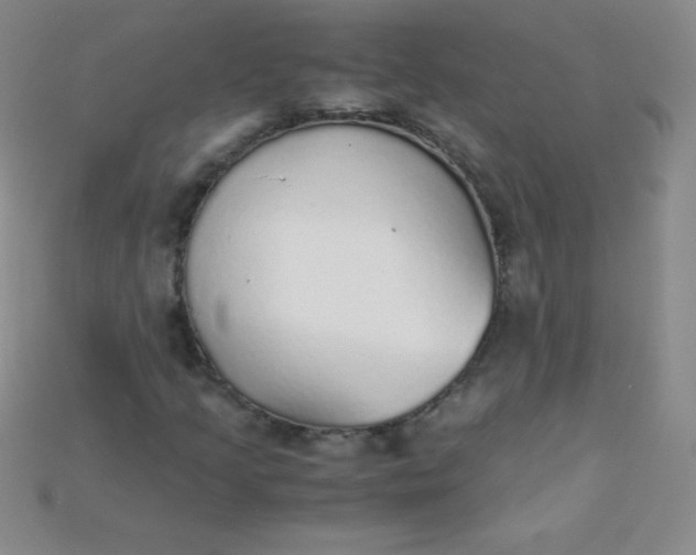X0000115211205200911121857