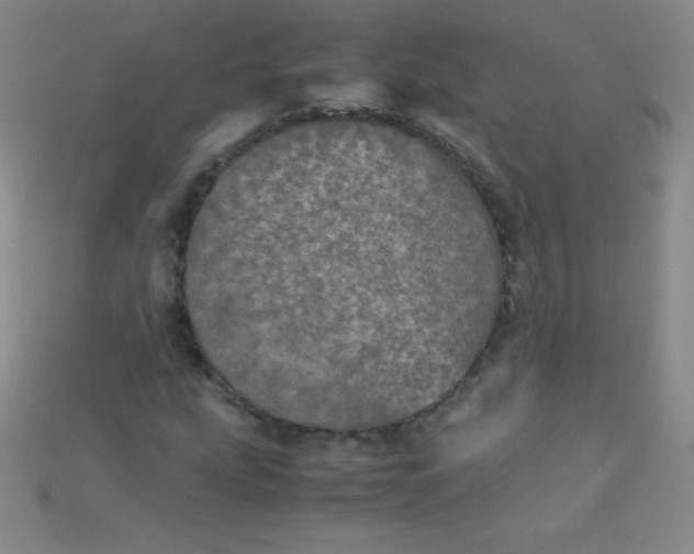 X0000115211207200911121857