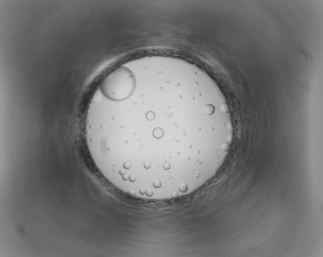 X0000115211208200911121857