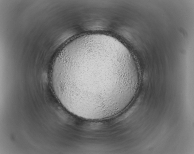 X0000115211209200911121857