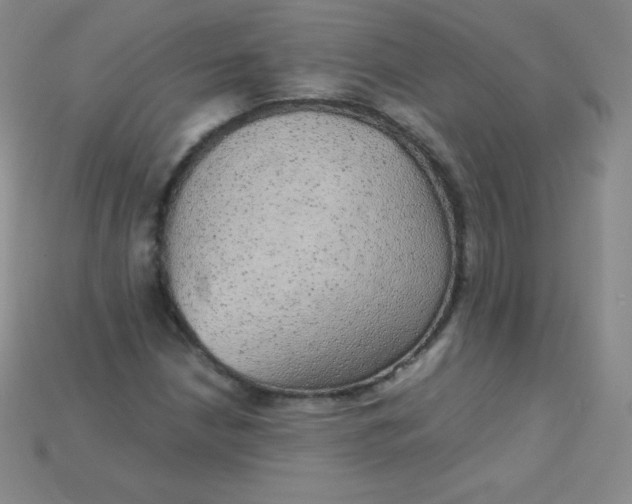 X0000115211210200911121857