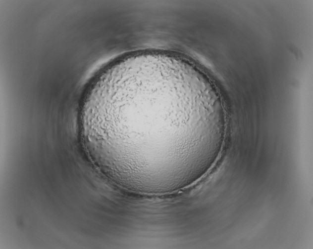 X0000115211214200911121857