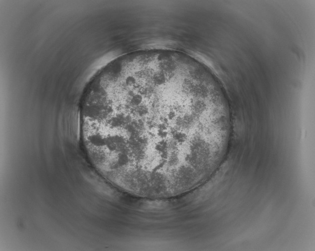 X0000115211219200911121857
