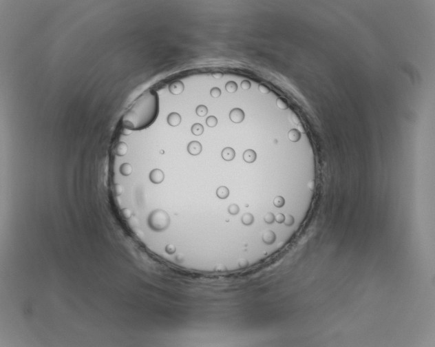 X0000115211220200911121857