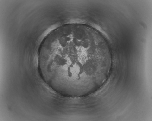 X0000115211221200911121857