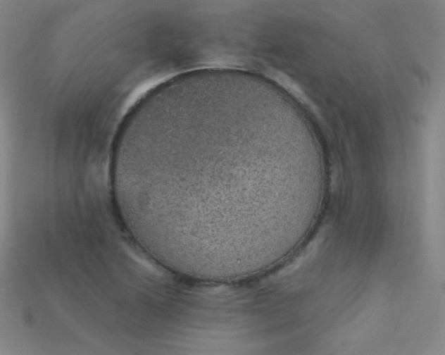 X0000115211222200911121857