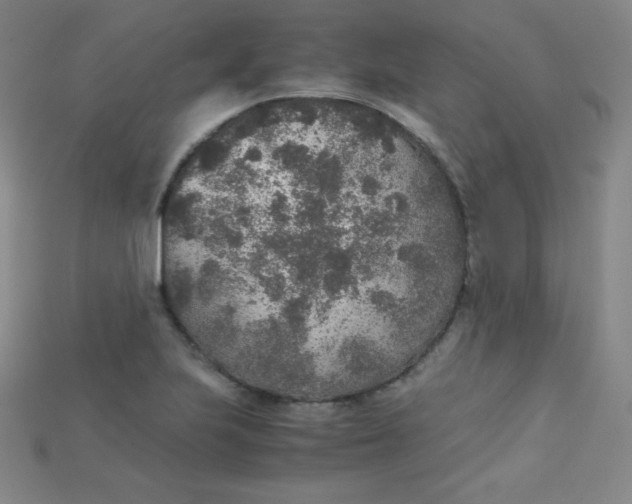 X0000115211223200911121857