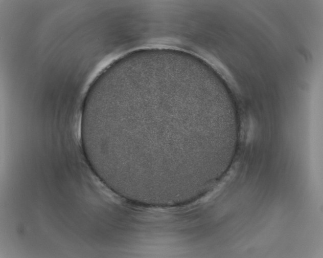 X0000115211224200911121857
