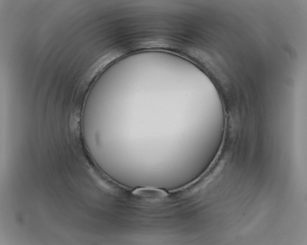 X0000115211225200911121857