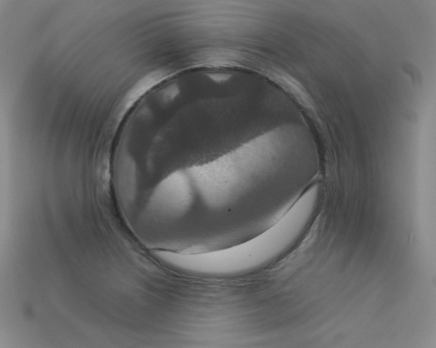 X0000115211226200911121857