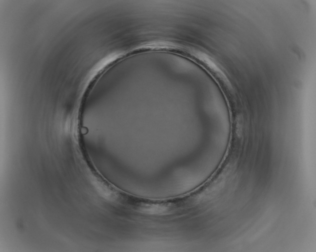X0000115211229200911121857
