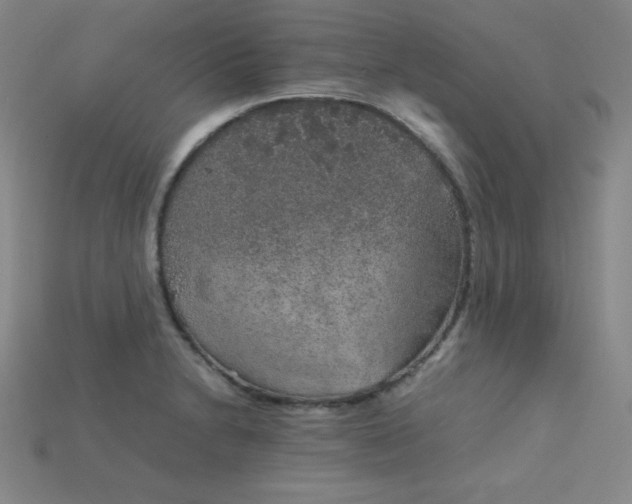 X0000115211230200911121857
