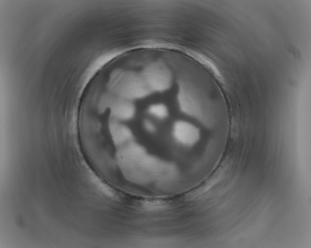 X0000115211231200911121857