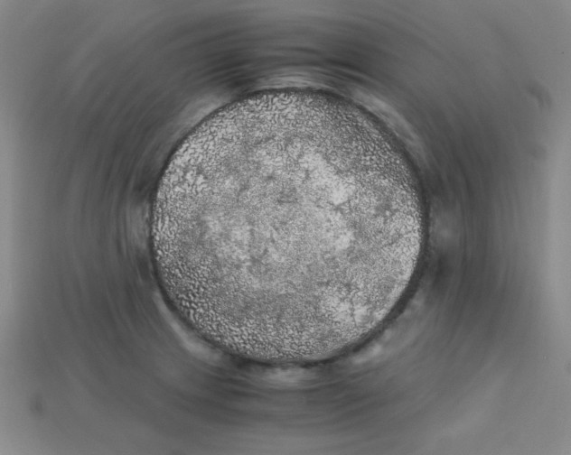 X0000115211233200911121857